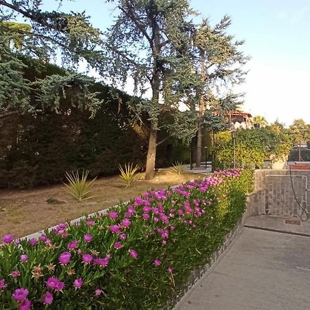Villa Mary - Apartments Трані Екстер'єр фото